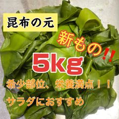 元茎わかめ　宮城県石巻産　新もの！ 元茎わかめ 宮城県石巻産 新物 - メルカリ