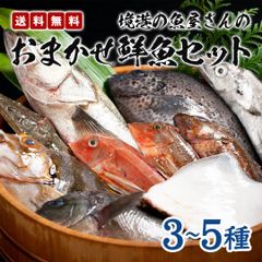 境港の魚屋さんのおまかせ鮮魚セット(3～5種)
