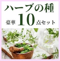【ハーブの種】ハーブの種豪華１０点セット～ご希望のハーブに組み換えも出来ます！～
