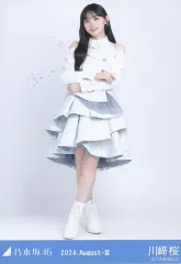 2025年最新】川崎桜 乃木コレの人気アイテム - メルカリ