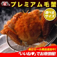 2025年最新】漁網 刺し網の人気アイテム - メルカリ 2025年最新】漁網 刺し網の人気アイテム - メルカリ