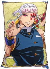 2025年最新】プレミアムアートクッション イラストシリーズvol.1 鬼滅