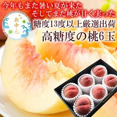 もも モモ 桃 秋の桃 冷蔵便でお届け お中元 暑中お見舞い 残暑お見舞い フルーツギフト 夏ギフト 大糖領の桃 一桃匠の桃 加納岩のぴー 一宮プレミアムの桃 春日居の桃 産地厳選 [高糖度の桃6個Ａ冷蔵] 7月初旬から発送 フルーツギフト