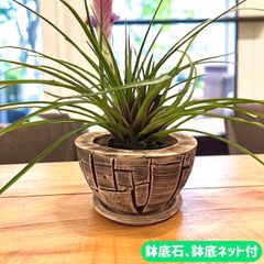 訳あり出品⤵信楽焼 植木鉢 30 高さ39cm - メルカリ