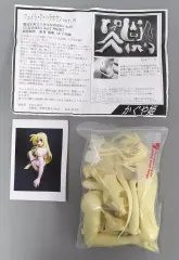 【中古】フィギュア フェイト・T・ハラオウン Ver.6 「魔法少女リリカルなのはStrikerS」 ガレージキット ワンダーフェスティバル2012冬＆イベント限定