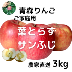 青森県産りんご　葉とらずサンふじ3kg