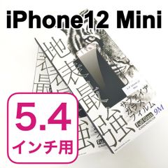 新品未開封 iPhone 5.4インチ アイホン スマホ フィルム