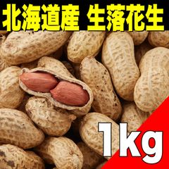 【ラスト1名様】北海道鵡川町産 生落花生1kg   野菜　豆　食品【北海道ちとせ空マチ！】
