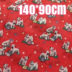 ボストンテリア様　リバティ　キャスキッドソン　ハンドメイド キャスキッドソン CathKidston ボストンバック イギリス テリア