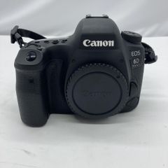 シャッター数6743回 Canon EOS 5D Mark IV 本体 - メルカリ