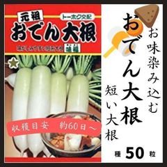 【野菜の種】お味染みしみ♡短系おでん大根 の種50粒～収穫６０日～