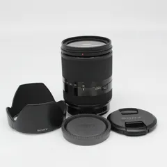 これ1本】動作◎ SONY 高倍率ズーム SEL18200LE 729