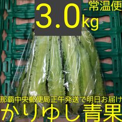 沖縄県産 うりずん豆（琉球四角豆）約３kg 【クロネコ常温便】①