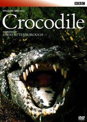 Item thumbnail for item 88f1f2cf-f572-43d9-a87c-432c74e69c3a