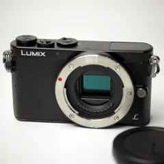 2024年最新】lumix gm1の人気アイテム - メルカリ