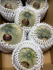 アンデスメロン Lサイズ 6個 箱込4キロ程度 茨城県