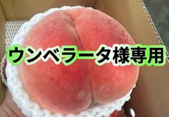 ウンベラータ様専用　クール便　あかつき　5kg　おどろき5kg