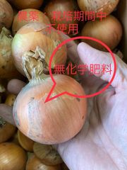 北海道産玉葱4kg “栽培期間中無化学肥料無農薬栽培”