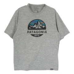 patagonia パタゴニア 45235SP20 キャプリーンクールデイリー ロゴ 半袖 Tシャツ グレー系 S【中古】