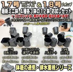 ●平日＊日中注文即日発送-新感覚ミニサイズ感＊1.7号四角(スクエア)＋1.7号ミニスリット(黒と半透明から選択)＋1.7号八角ミニプラ鉢＋1.8号カップ型プラ鉢:4種各3鉢⇒計12鉢お試しセット※1回限り＊塊根植物コーデックス・アガベ＠フラワーショップ江口