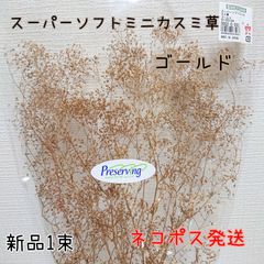大地農園 スーパーソフトミニカスミ草 ゴールド 新品1袋