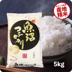 米 魚沼産コシヒカリ5kg お米 令和５年産 白米