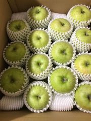 青森県産「王林」「ぐんま名月」家庭用 キズ有 約5kg 各1箱 2箱セット