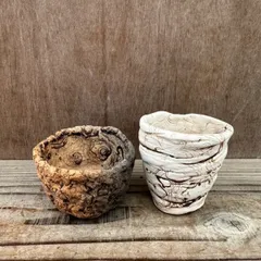 2024年最新】プランツモンスターポットの人気アイテム - メルカリ 