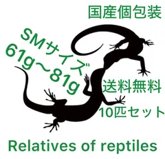 2025年最新】冷凍 ラットの人気アイテム - メルカリ