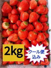 2025年最新】いちご とちあいかの人気アイテム - メルカリ