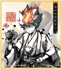 【中古】紙製品 沢田綱吉 「家庭教師ヒットマンREBORN! トレーディングクリア色紙コレクション」