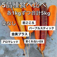 フルーツ人参 5品種 食べ比べ 5kg 葉なし