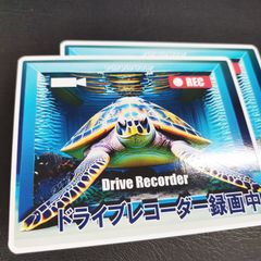 送料無料　ウミガメ　水族館　Sea Turtle「ウミガメ　ドライブレコーダー　ステッカー」（約８０ｍｍ×約１００ｍｍ）２枚セット販売