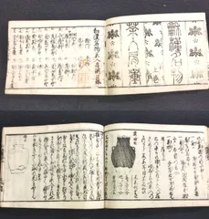 スーパーレア! 草木奇品家雅見～古書 江戸時代の書の復刻版と解説本 スーパーレア! 草木奇品家雅見～古書 江戸時代の書の復刻版と解説本