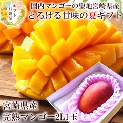 マンゴー お中元 暑中お見舞い 残暑お見舞い 夏ギフト 夏のごあいさつ 夏の贈り物 内祝い 出産内祝い お祝い 謝礼  お礼 お見舞い 快気祝い お供え ご霊前 手土産ギフト ゴルフコンペ景品 ご結婚お祝い 結婚内祝い 寿 [宮崎完熟マンゴー2L1玉A]