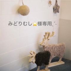 みどりむし⭐️様専用オーダーページˎˊ˗
