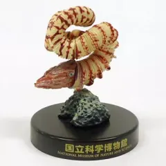 『ちび様』専用取引品、北海道アンモナイト化石　異常巻３点＋正常巻１点 thumbnail2.webp