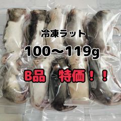 爬虫類のエサ　冷凍ラット　100〜119g 10匹　個包装　B品