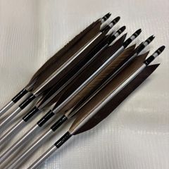GF1813黒シャフト　磯手羽　6矢　近的矢 近的矢 6矢 - | ブラック送料無料 １９１３