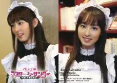 秋山莉奈　オフィシャルカードコレクション　トレーディングカード 30パック 秋山莉奈 オフィシャルカードコレクション トレーディングカード