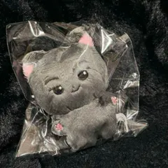 enhypen ジェイ ぬいぐるみ 10cm 新品 マスター｜Yahoo!フリマ
