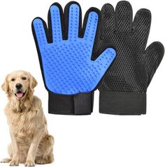 Item thumbnail for item 7cafbed7-15f5-4293-b1b7-1270458e7d4d