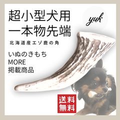 【送料無料】🐶超小型犬用🐶一本物先端🦌北海道産エゾ鹿の角🦌犬のおもちゃ🐕鹿の骨　A