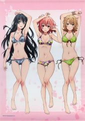 やはり俺の青春ラブコメはまちがっている。 タペストリー2本 一色