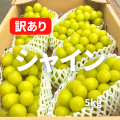 シャインマスカット　訳あり　5kg 5〜12房