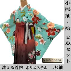 s-2625　小振袖・袴（L）セット　二尺袖　洗える着物　ポリエステル　重ね衿