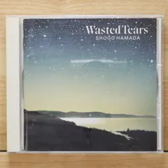 2025年最新】浜田省吾 WASTED TEARSの人気アイテム - メルカリ