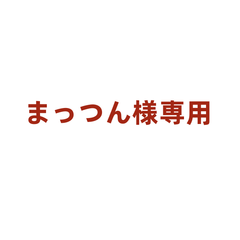 まっつん様追加料金専用