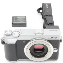 カメラLUMIX GX7MK2シルバー SUNDISK8GBメモリーカード付き - ミラー ...