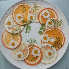 Item thumbnail for item 0fba8b0a-fc70-4907-b416-d4182b9b3b4f